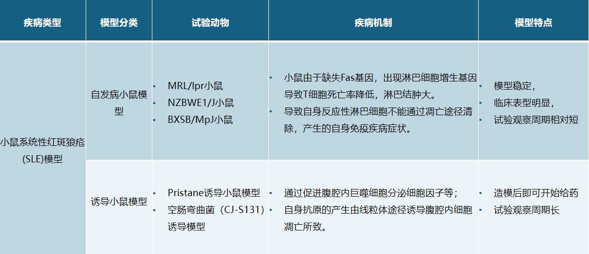 系统性红斑狼疮-2.jpg