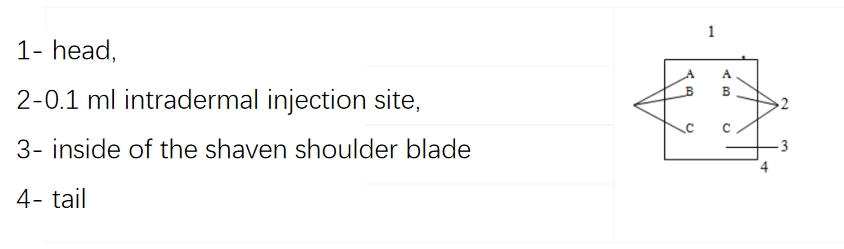 Sensitization-Test.png