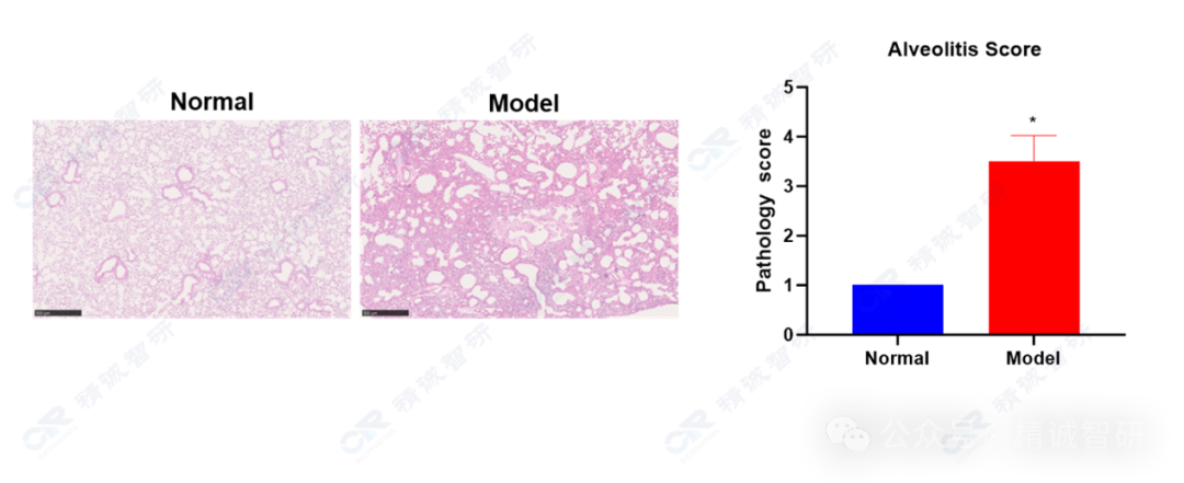 640 (1).png