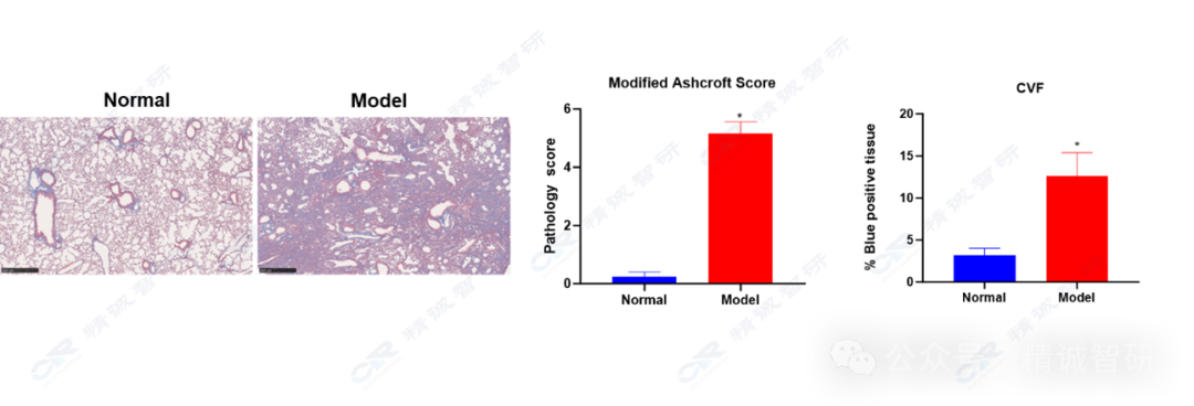 640 (2).png