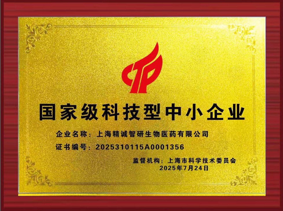 国家级科技型中小企业