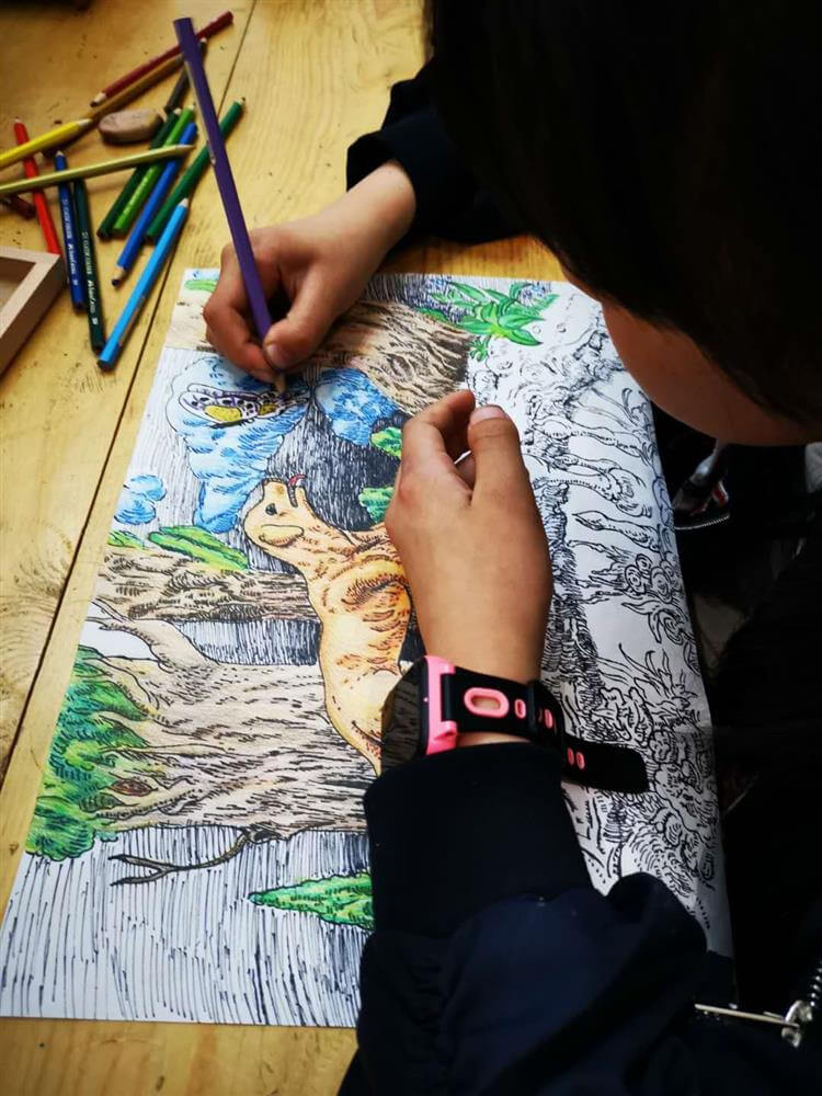 洛园艺术-张雨晗