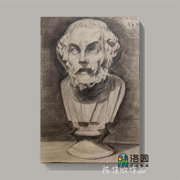 洛园艺术-陈佳欣